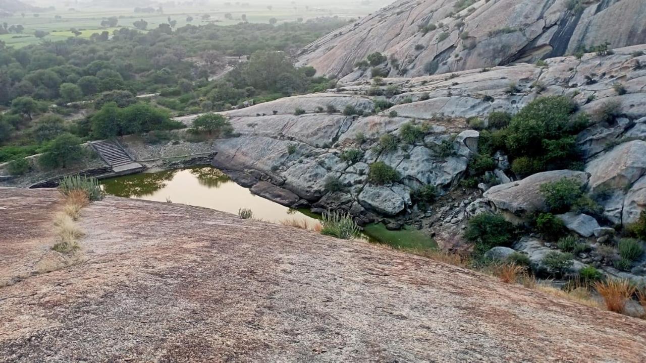 Jawai Balwant Villas ビジャパール エクステリア 写真